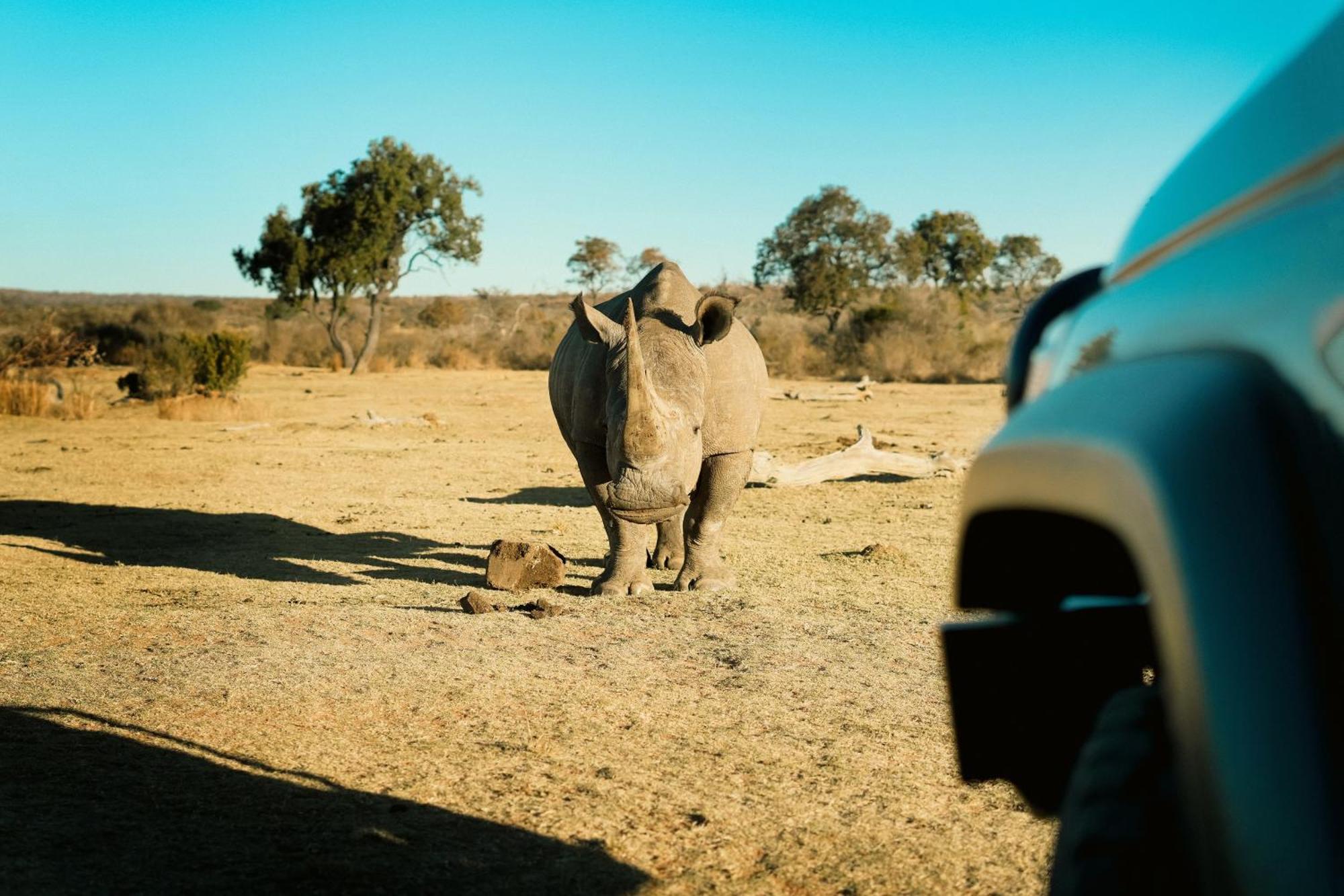Shibula Safari Lodge Welgevonden Vadrezervátum Kültér fotó